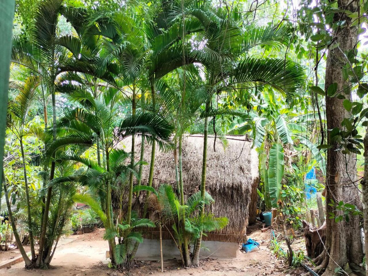Jungle House Kep 아파트 외부 사진