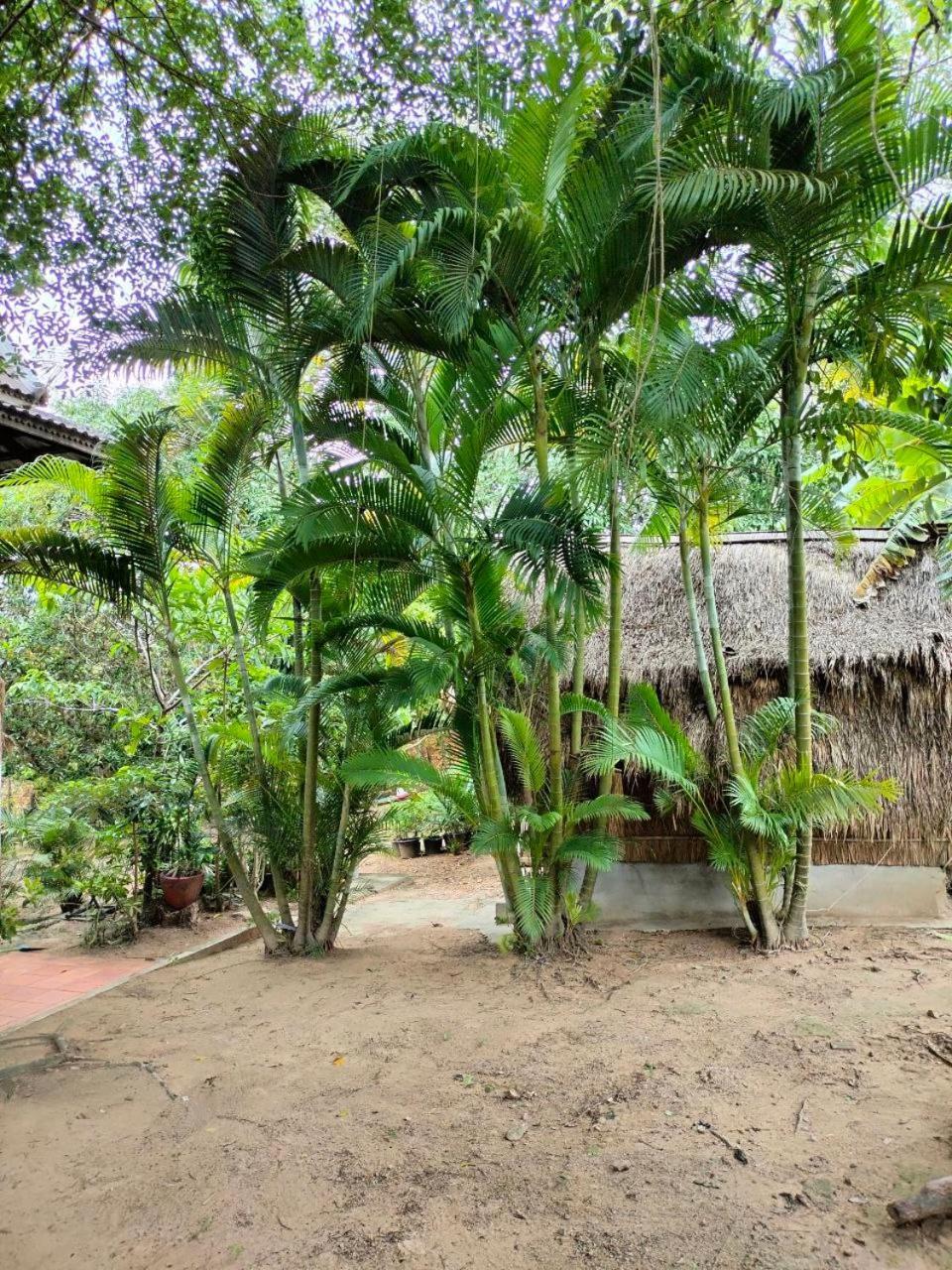 Jungle House Kep 아파트 외부 사진
