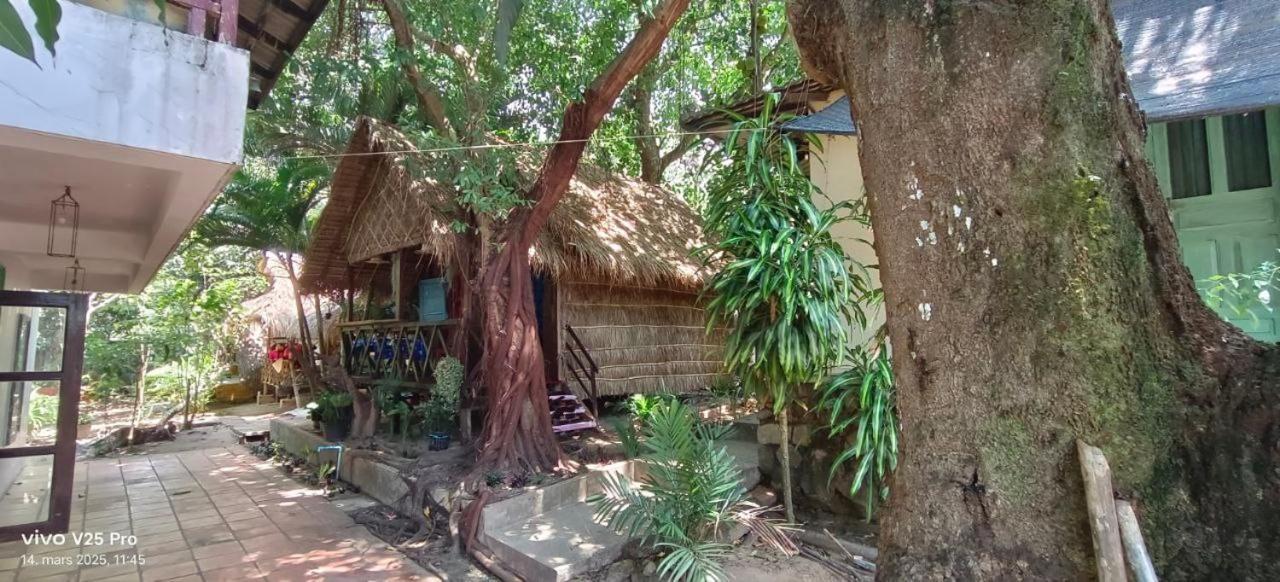 Jungle House Kep 아파트 외부 사진